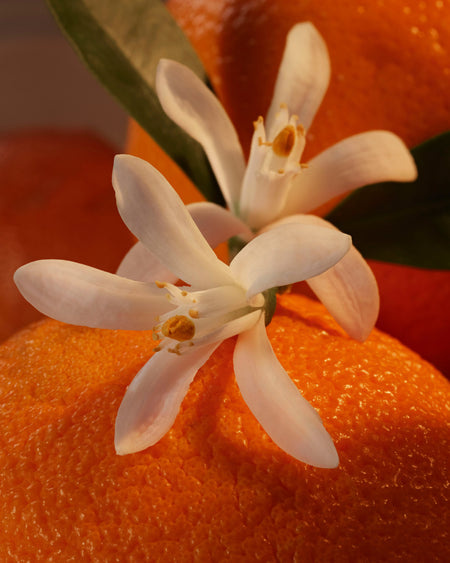 Neroli Bronze: Marrakech Sunset eternal , she is The Sunlit Muse