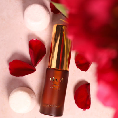 Lalla La Rose Fragrance
