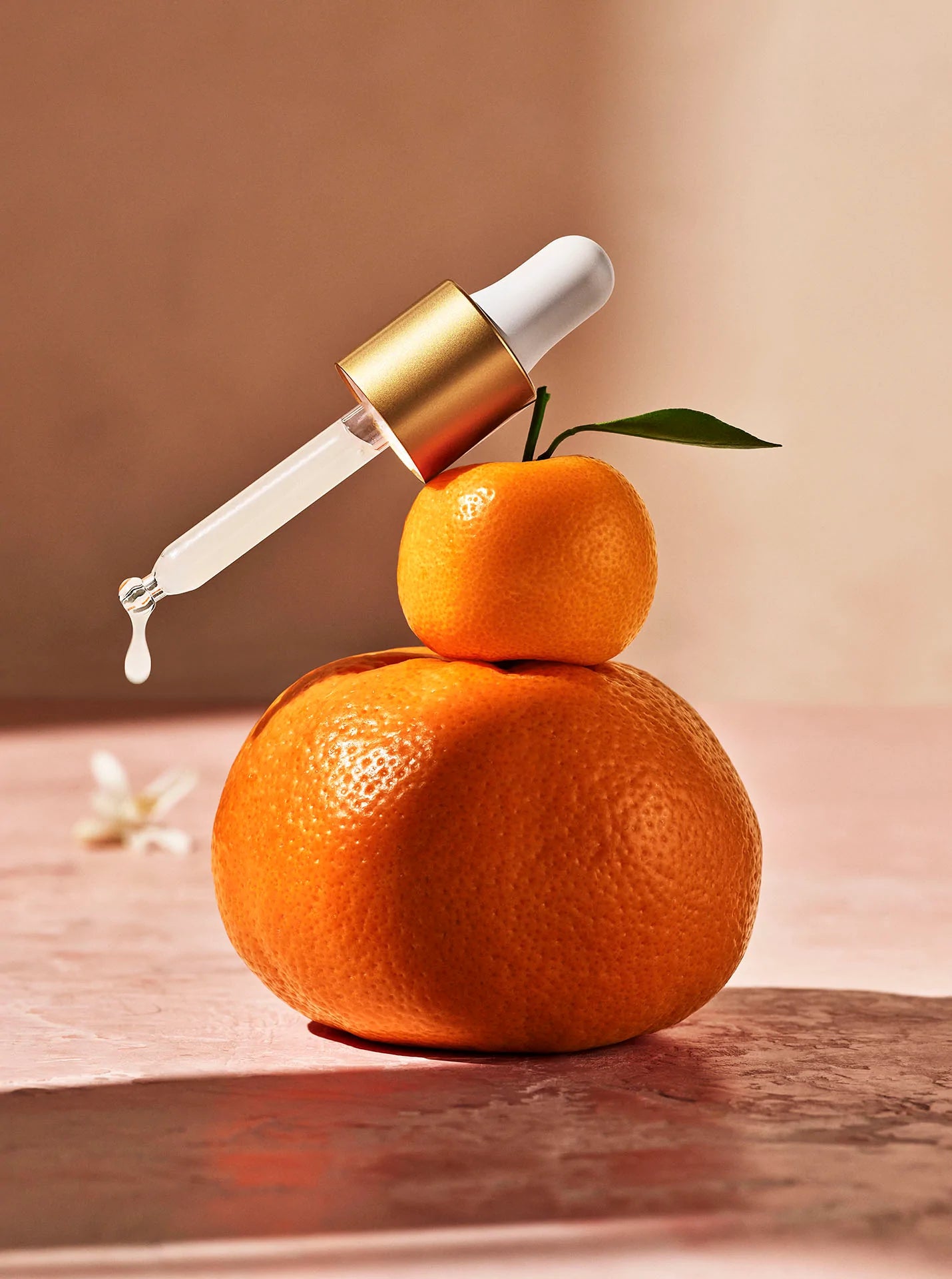 Radiance Refresh Kit