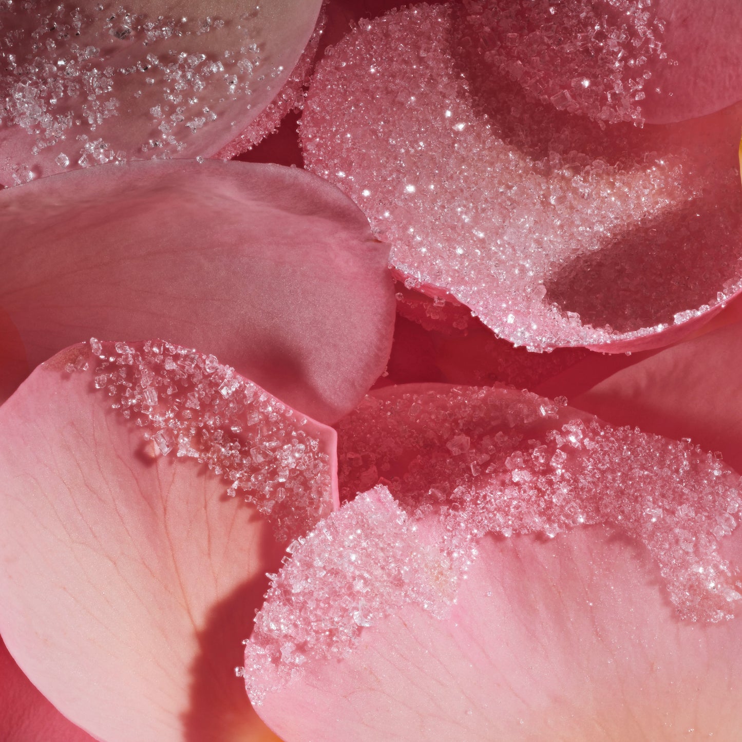 Lalla La Rose Fragrance