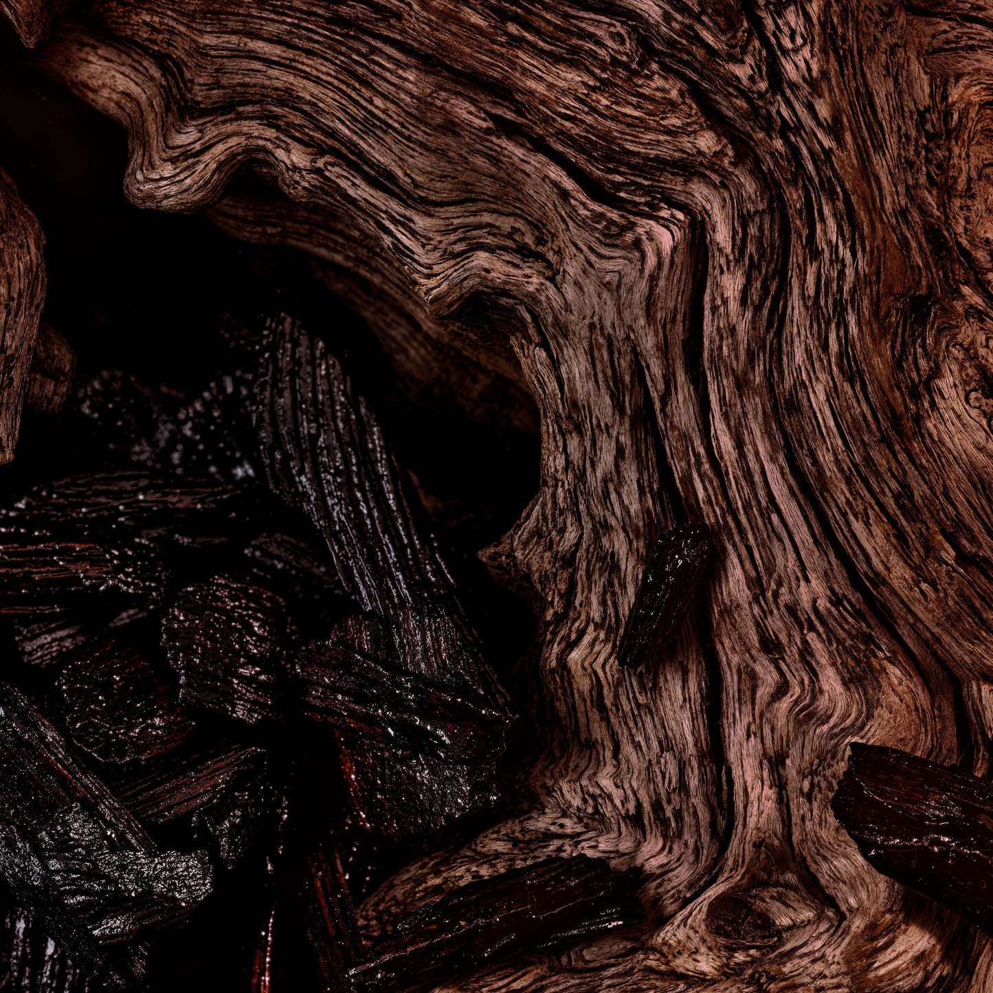 Oud Davana Fragrance